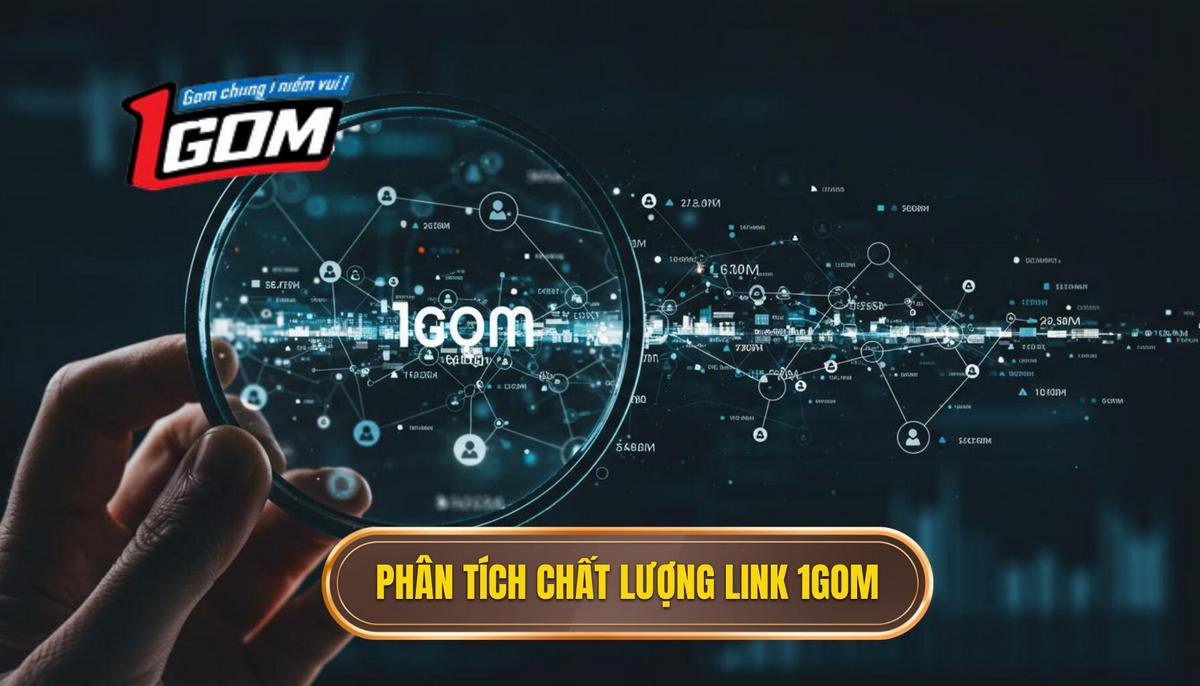 2. Phân Tích Chuyên Sâu Về Chất Lượng Của Link 1Gom
